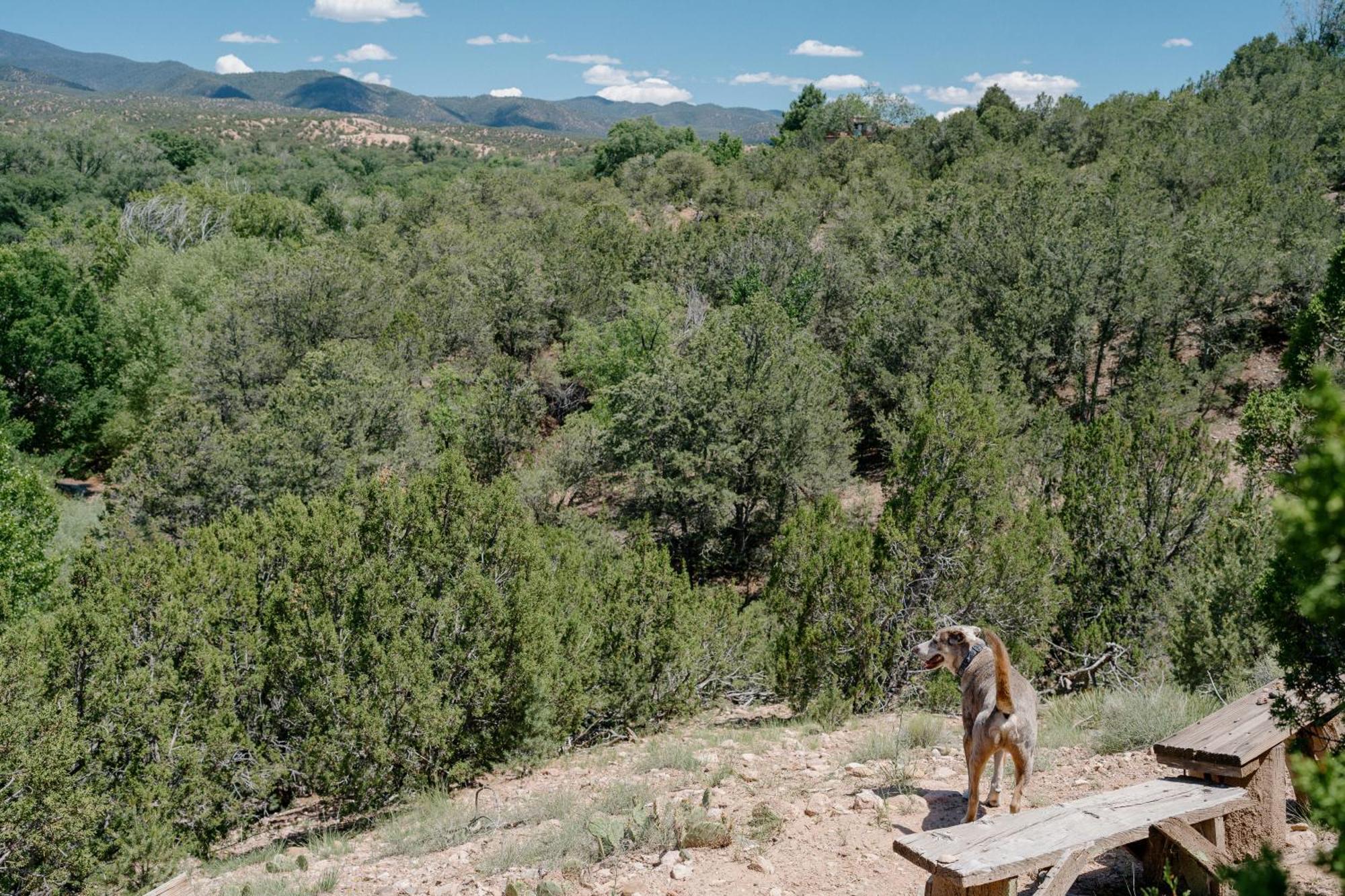 Tesuque Outpost Casita F Best Views In Santa Fe Exterior foto